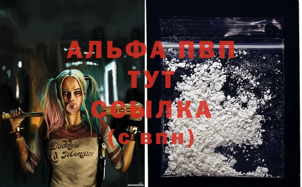mdpv Новозыбков